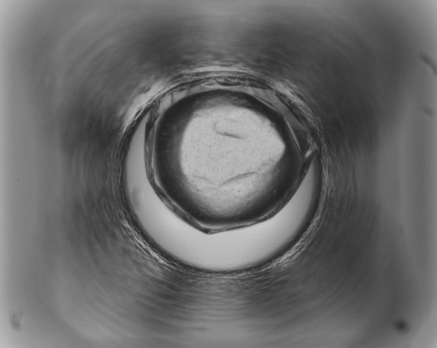 X0000100391357200806201704