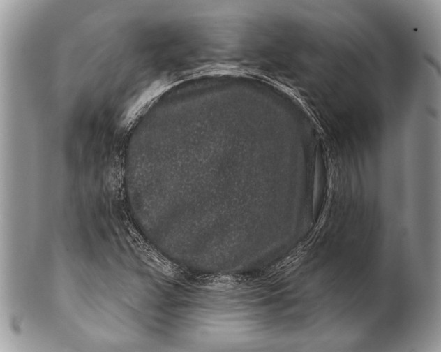 X0000100391359200806201704