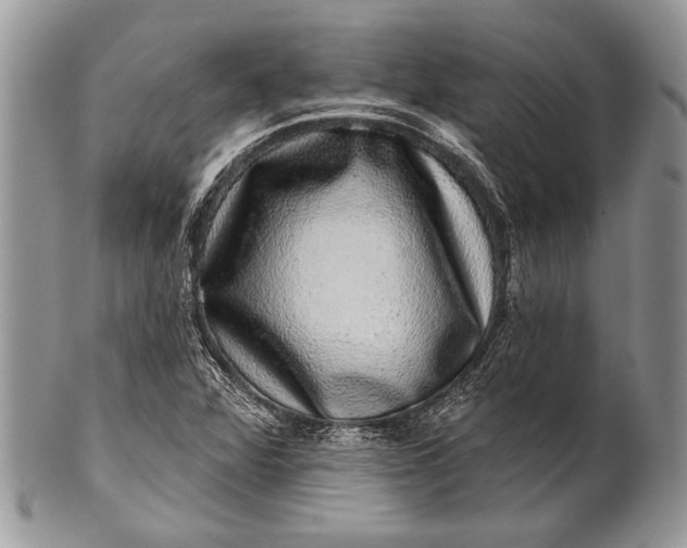 X0000100391360200806201704