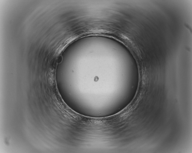 X0000100391361200806201704