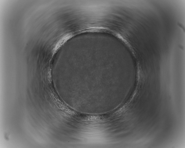 X0000100391362200806201704