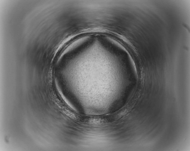 X0000100391364200806201704