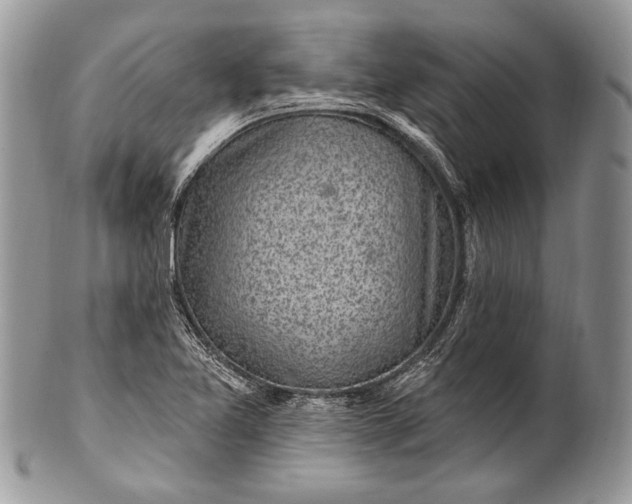 X0000100391365200806201704