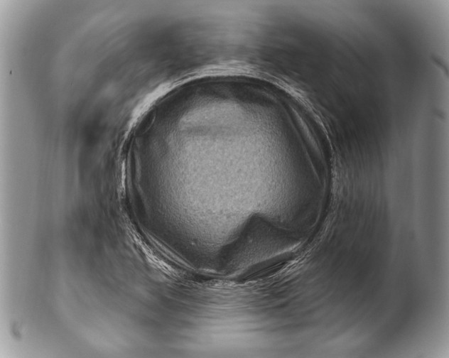 X0000100391366200806201704