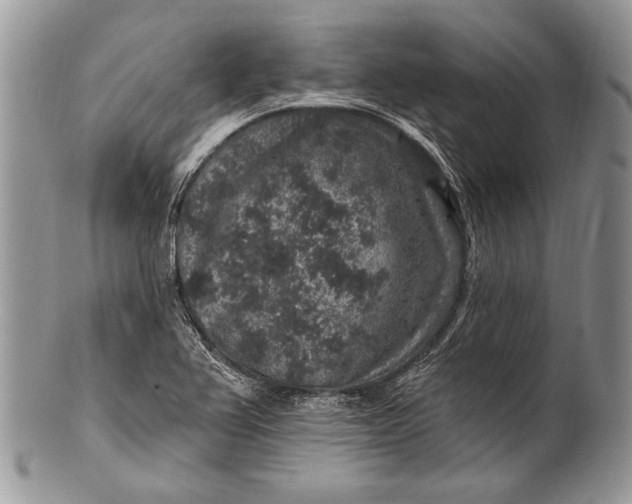 X0000100391367200806201704