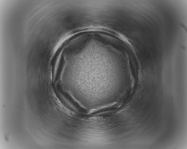 X0000100391368200806201704