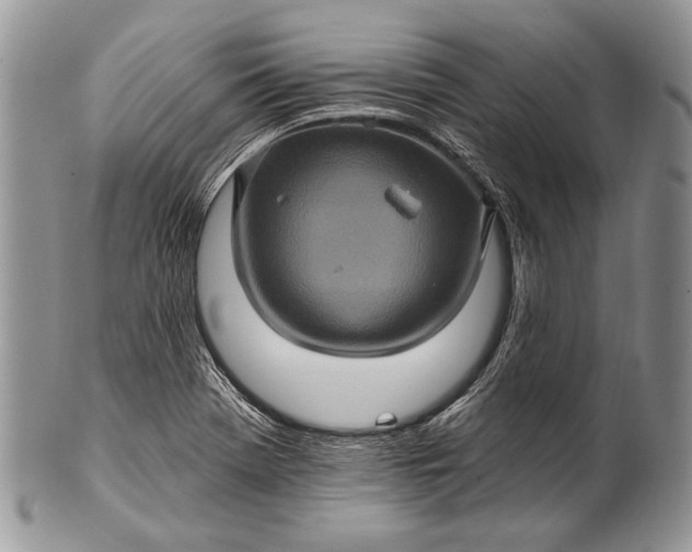 X0000100391369200806201704