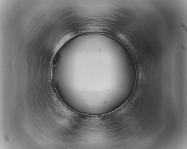 X0000100391370200806201704