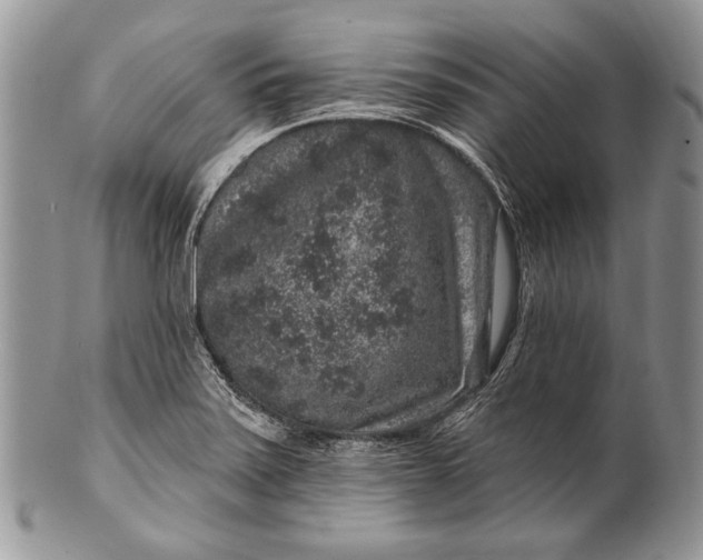 X0000100391371200806201704