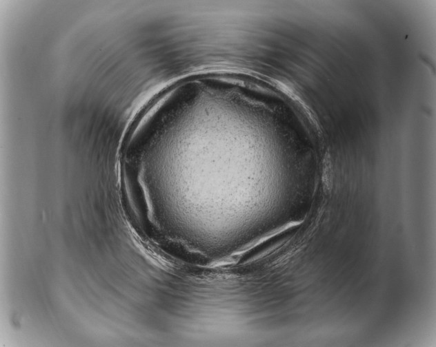 X0000100391372200806201704