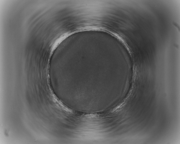 X0000100391373200806201704