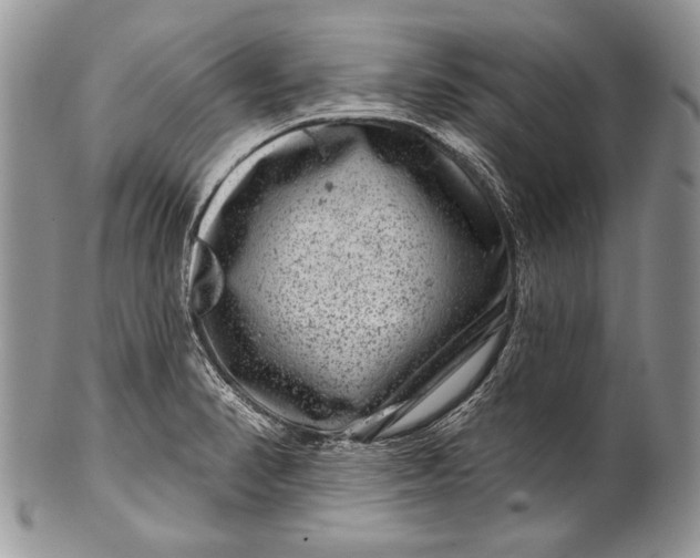 X0000100391374200806201704