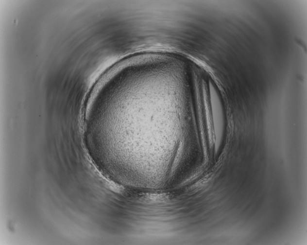 X0000100391375200806201704