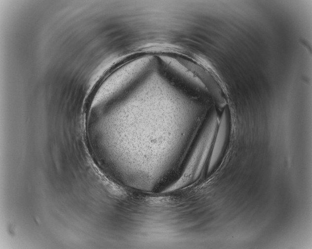 X0000100391376200806201704