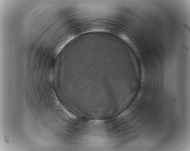 X0000100391377200806201704