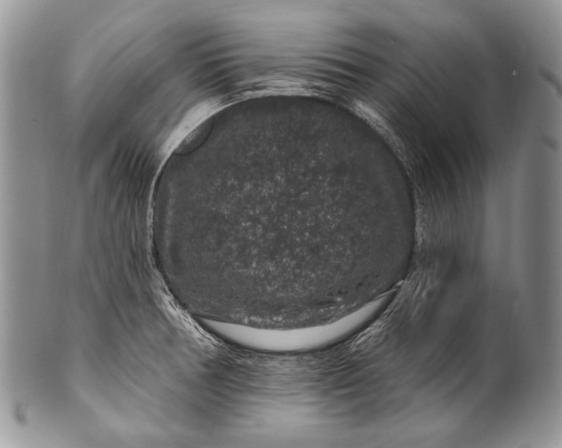 X0000100391378200806201704