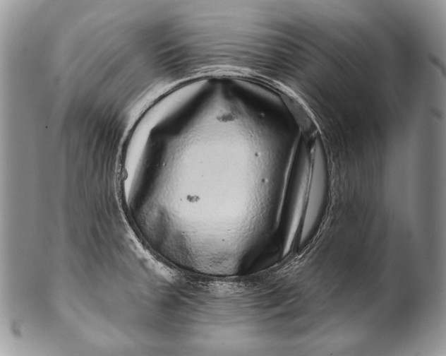 X0000100391379200806201704