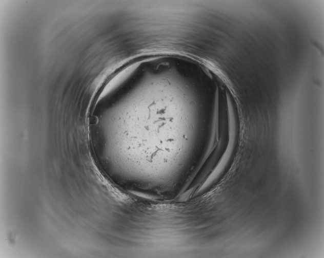 X0000100391380200806201703