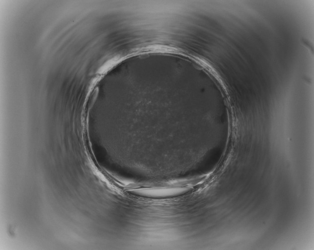 X0000100391381200806201703