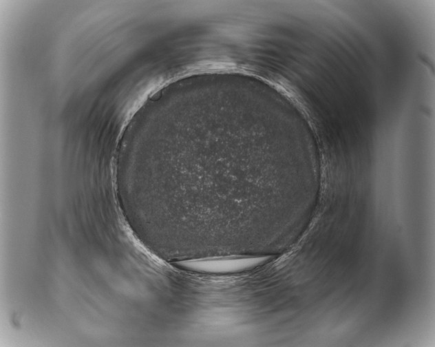 X0000100391382200806201703