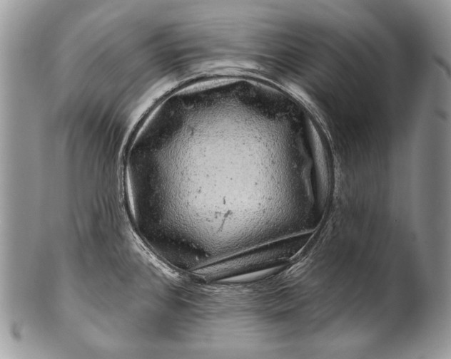 X0000100391384200806201703