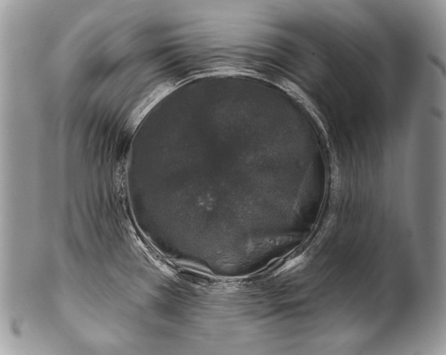 X0000100391385200806201703