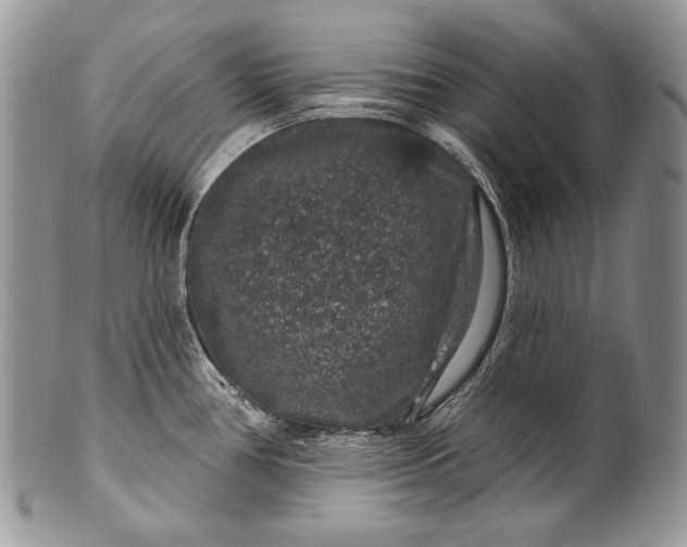 X0000100391386200806201703