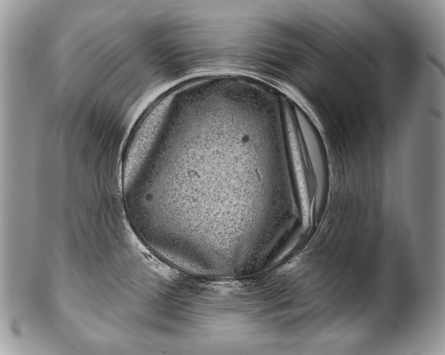 X0000100391388200806201703