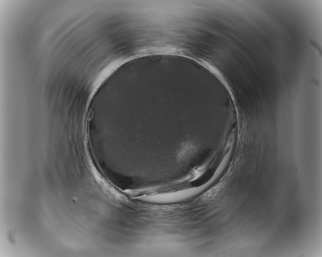 X0000100391389200806201703