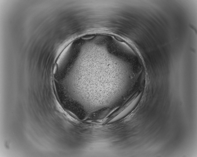 X0000100391390200806201703