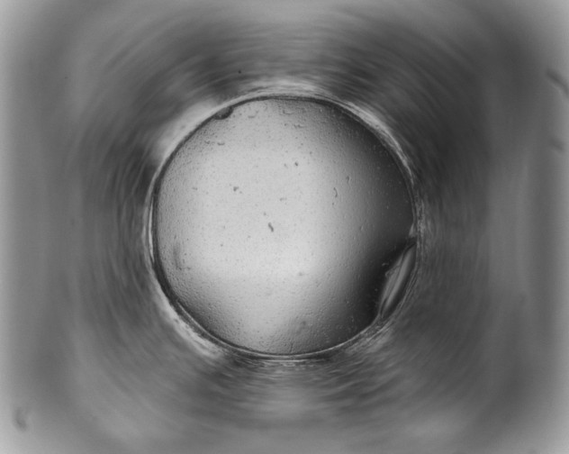 X0000100391391200806201703