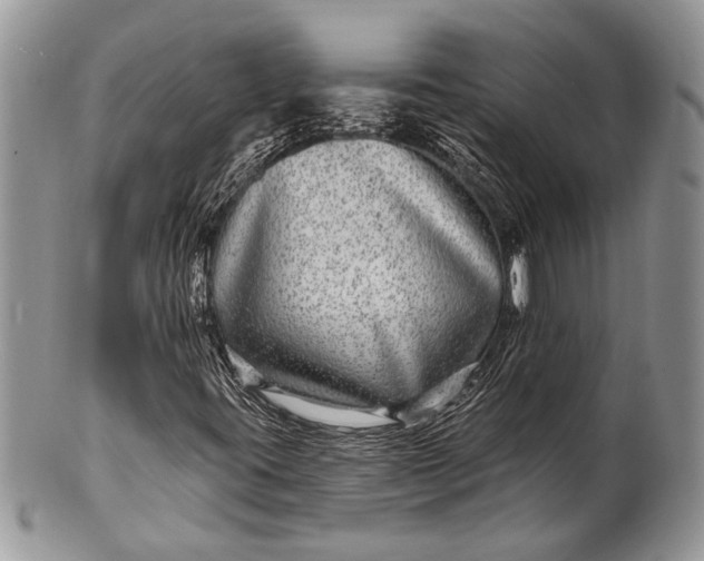 X0000100391395200806201703