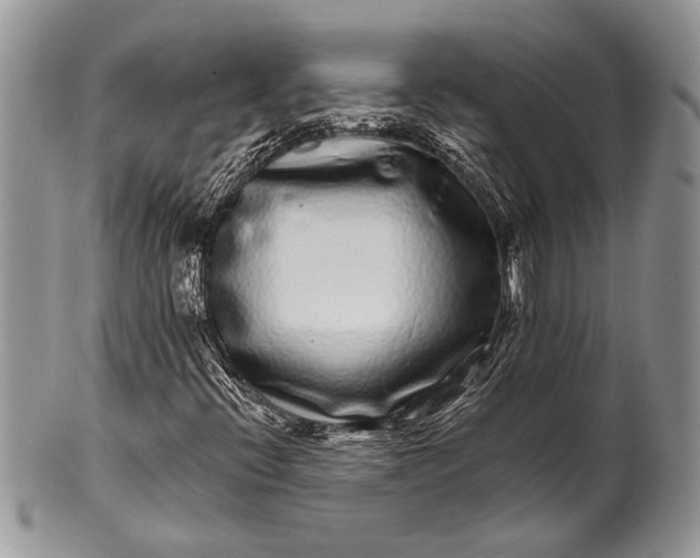 X0000100391396200806201703