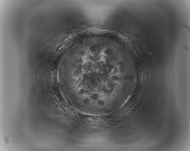 X0000100391397200806201703