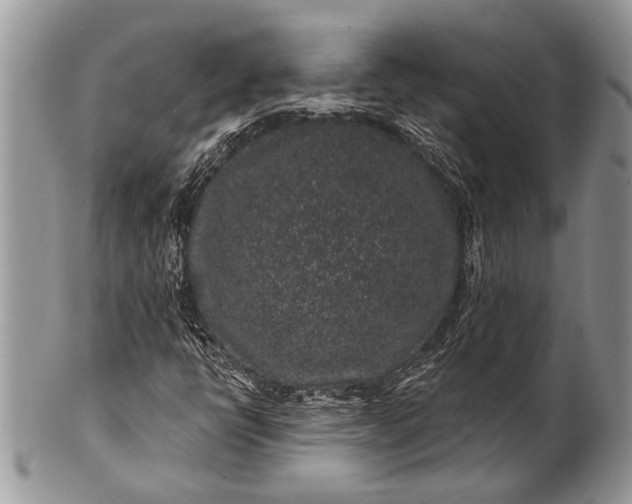 X0000100391398200806201703