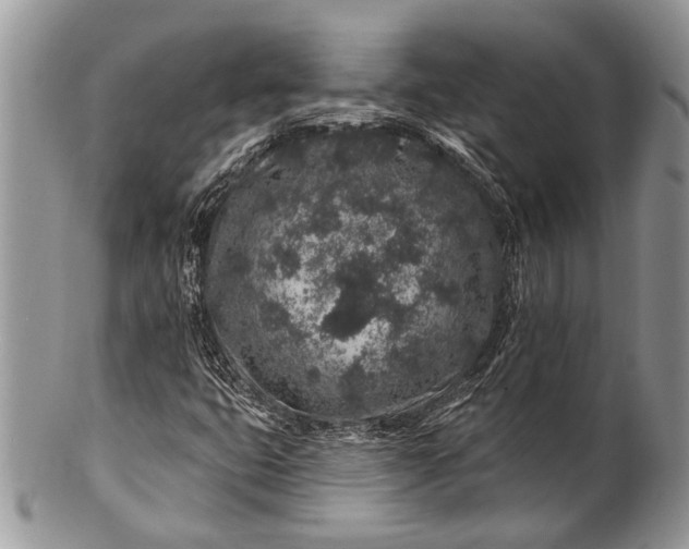 X0000100391399200806201703