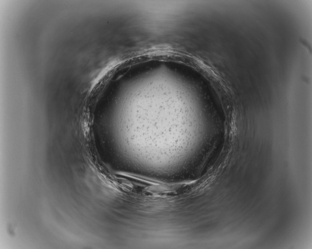 X0000100391400200806201703