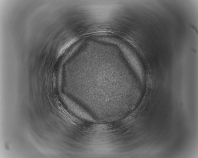 X0000100391402200806201703