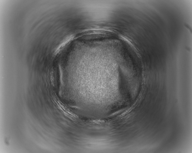 X0000100391403200806201703