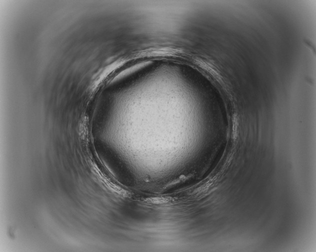 X0000100391404200806201703