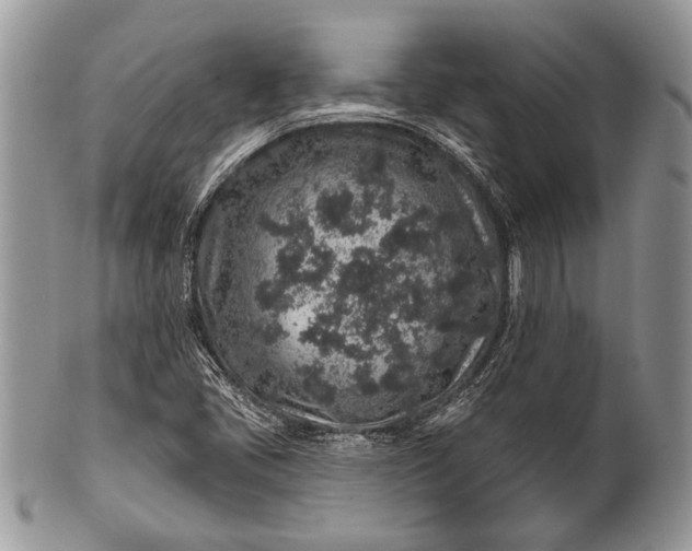 X0000100391405200806201703