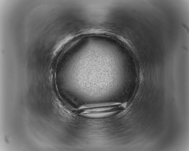 X0000100391406200806201703