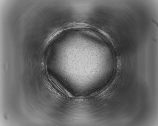 X0000100391407200806201703