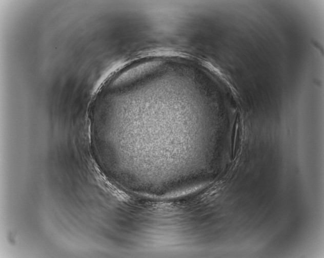 X0000100391408200806201703