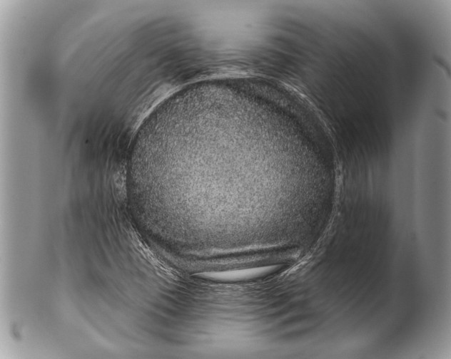 X0000100391409200806201703