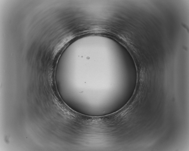 X0000100391410200806201703