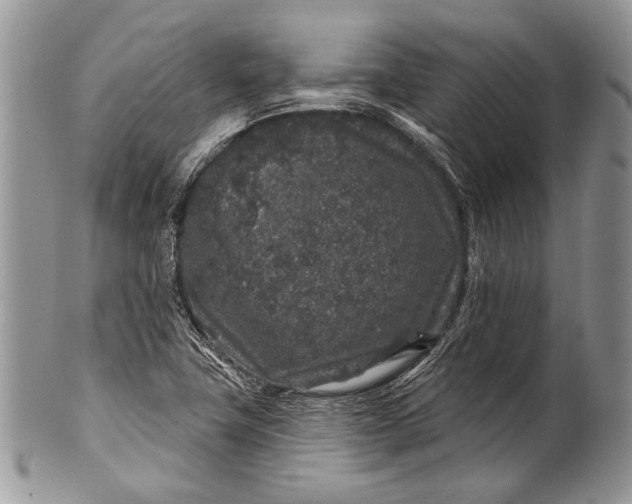 X0000100391411200806201703