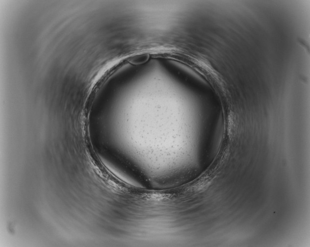 X0000100391412200806201703