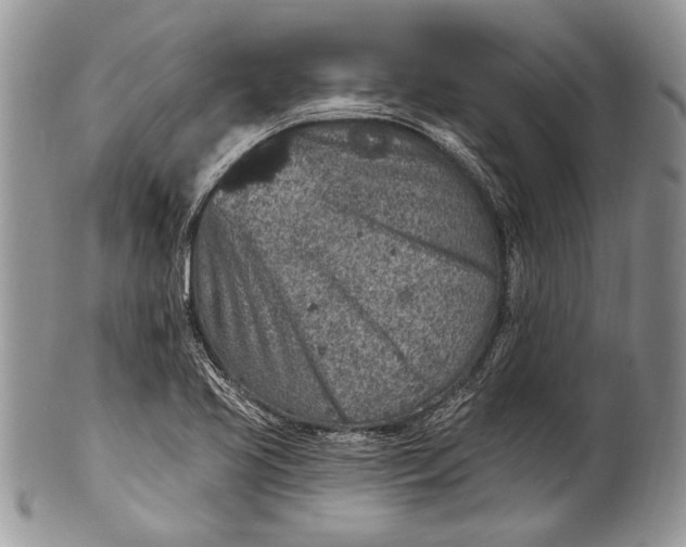 X0000100391413200806201703