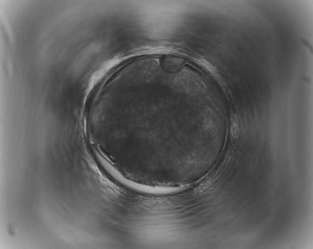 X0000100391414200806201703